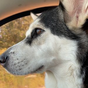 Meet your Posher, Beto